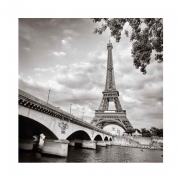 Parigi - la torre Eiffel vista dal fiume Senna